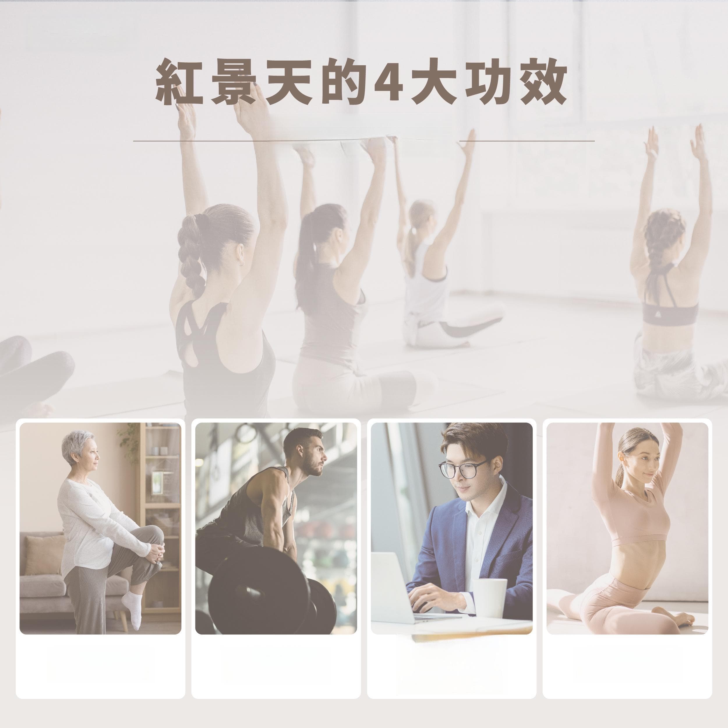 红景天的功效与食用指南：从传统到现代的健康选择