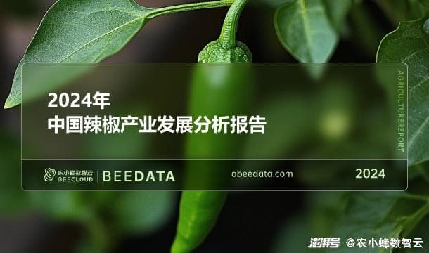 2024年中国辣椒产业发展现状简析