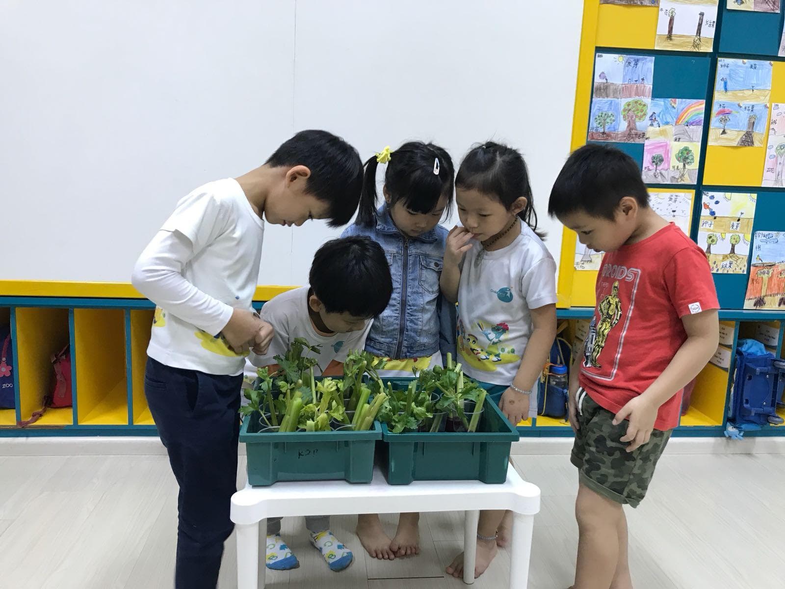 幼儿园自然角创设原则及策略