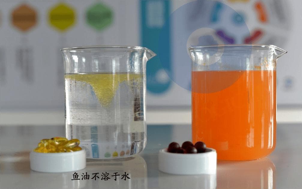 为健康加分：鱼油与南极磷虾油的抉择