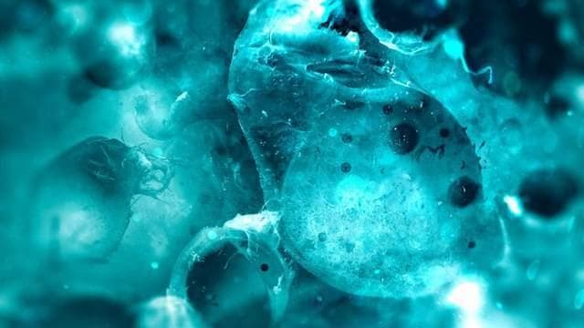 人类永生的秘密：癌症能让人类长生不老，只是我们身体无法承受？