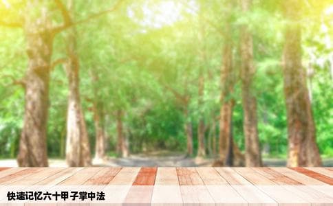 六十甲子掌中快速记忆法有哪些