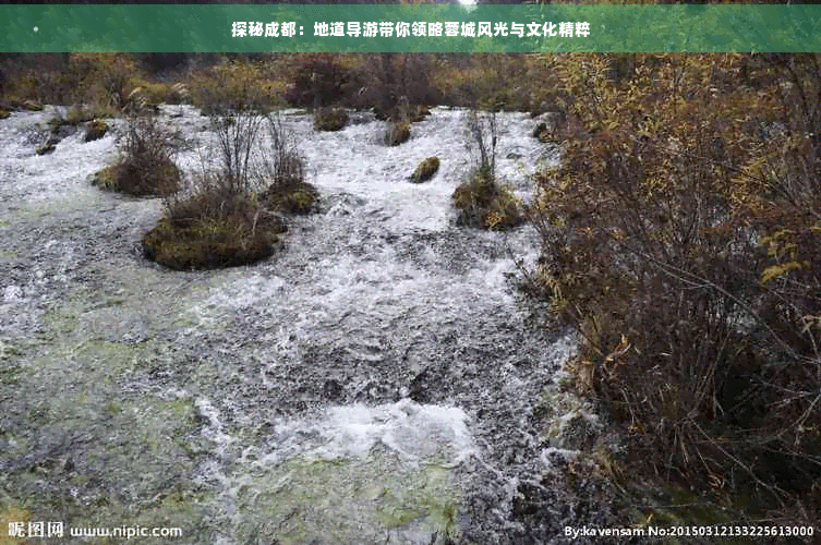 探秘成都：地道导游带你领略蓉城风光与文化精粹