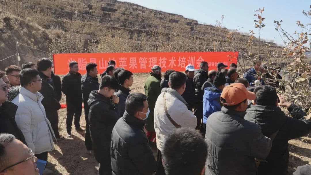 陕西米脂县举办山地苹果管理技术培训会——助推果业提质增效