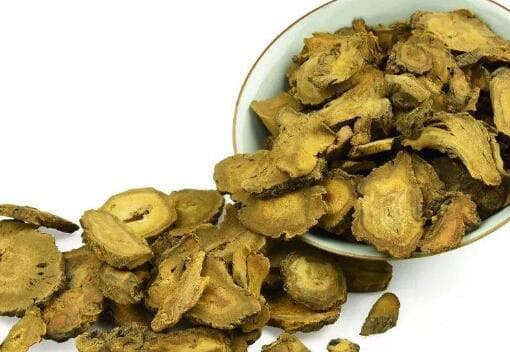 大黄根(金不换)的功效与作用