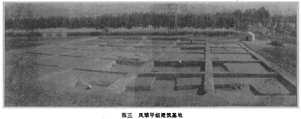 先周凤雏宫室以华尺18.5 cm 建设