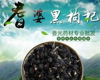 探寻黑枸杞的神秘故乡（原产地、生长环境与药用价值）
