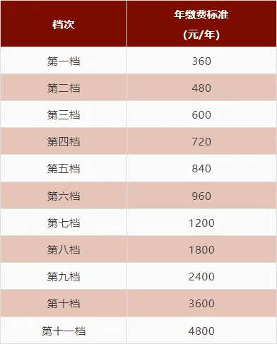 事关养老保险，一文了解缴费标准及待遇对比