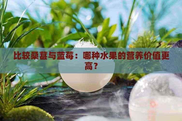 比较桑葚与蓝莓：哪种水果的营养价值更高？
