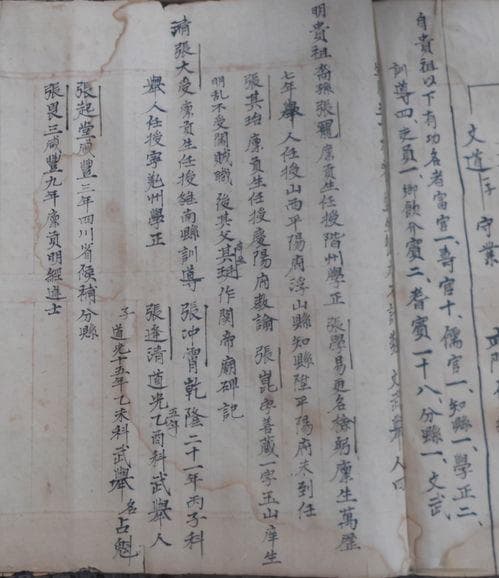 张姓的现状(张姓现状2025年统计)