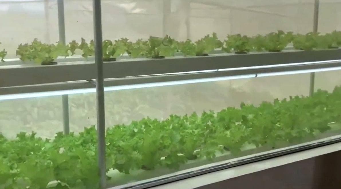 人工气候室里的湿度控制指南