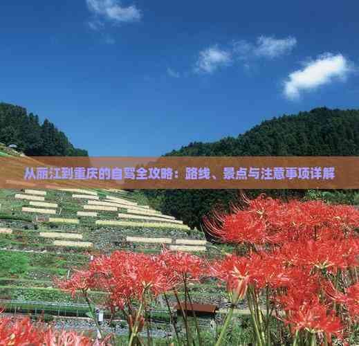 从丽江到重庆的自驾全攻略：路线、景点与注意事项详解