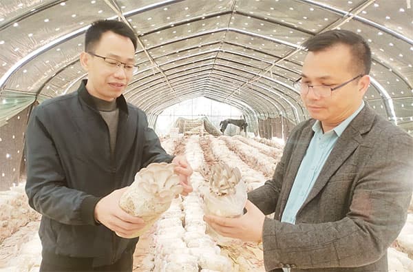 灯塔盆地农高区：筑人才集聚高地 谱高质量发展新篇