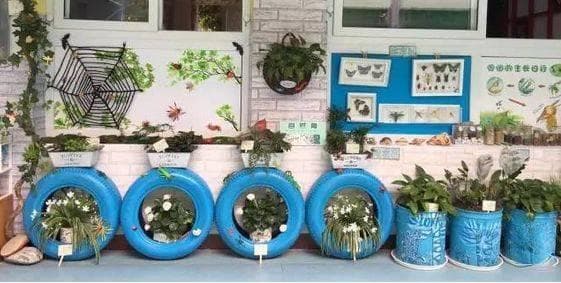 幼儿园科学区设置指南：自然角与科技角的区域目标与材料投放
