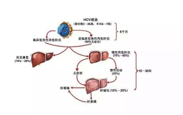 中医针灸穴位配伍，常见病穴位详解