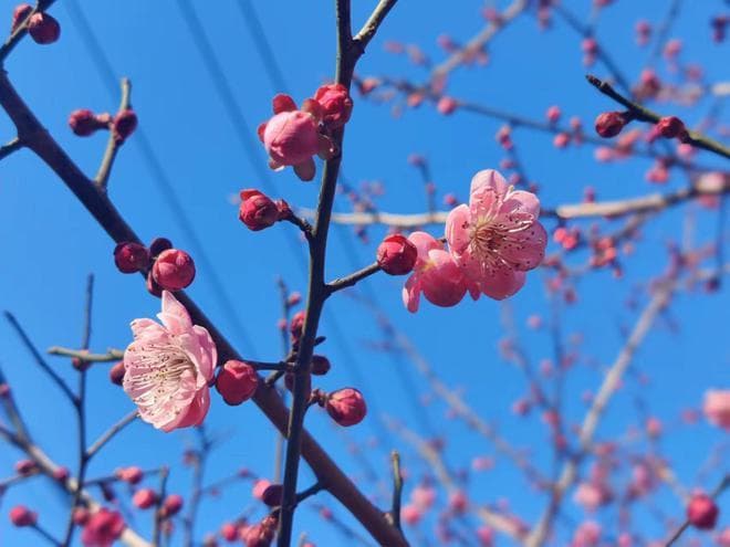 领导逼你主动离职，怎么办?