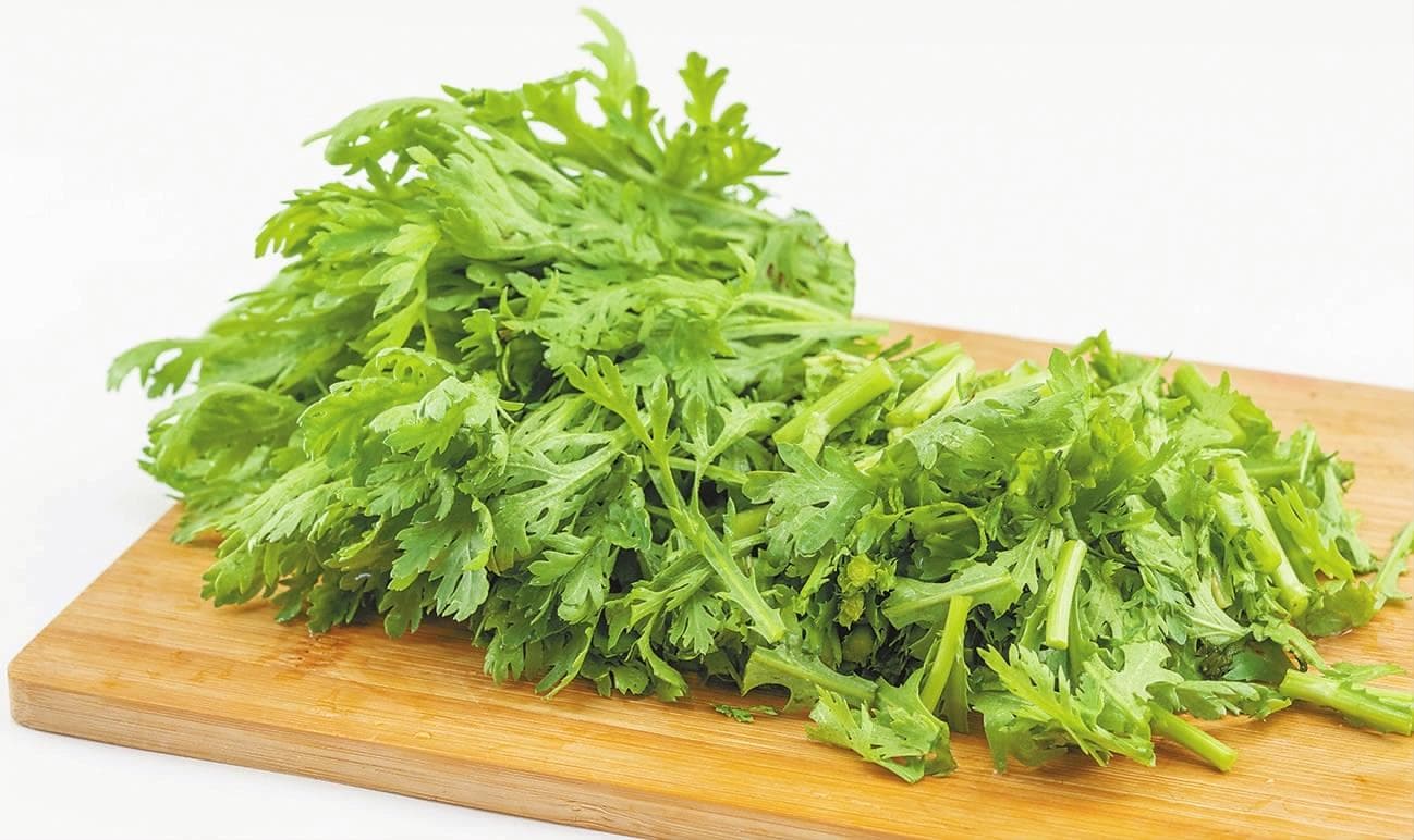 茼蒿被称为“皇帝菜”　究竟是为啥？