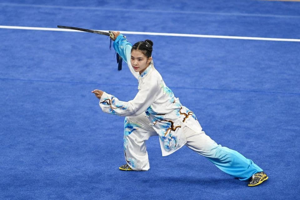 世界武术名家笔下的中国武术