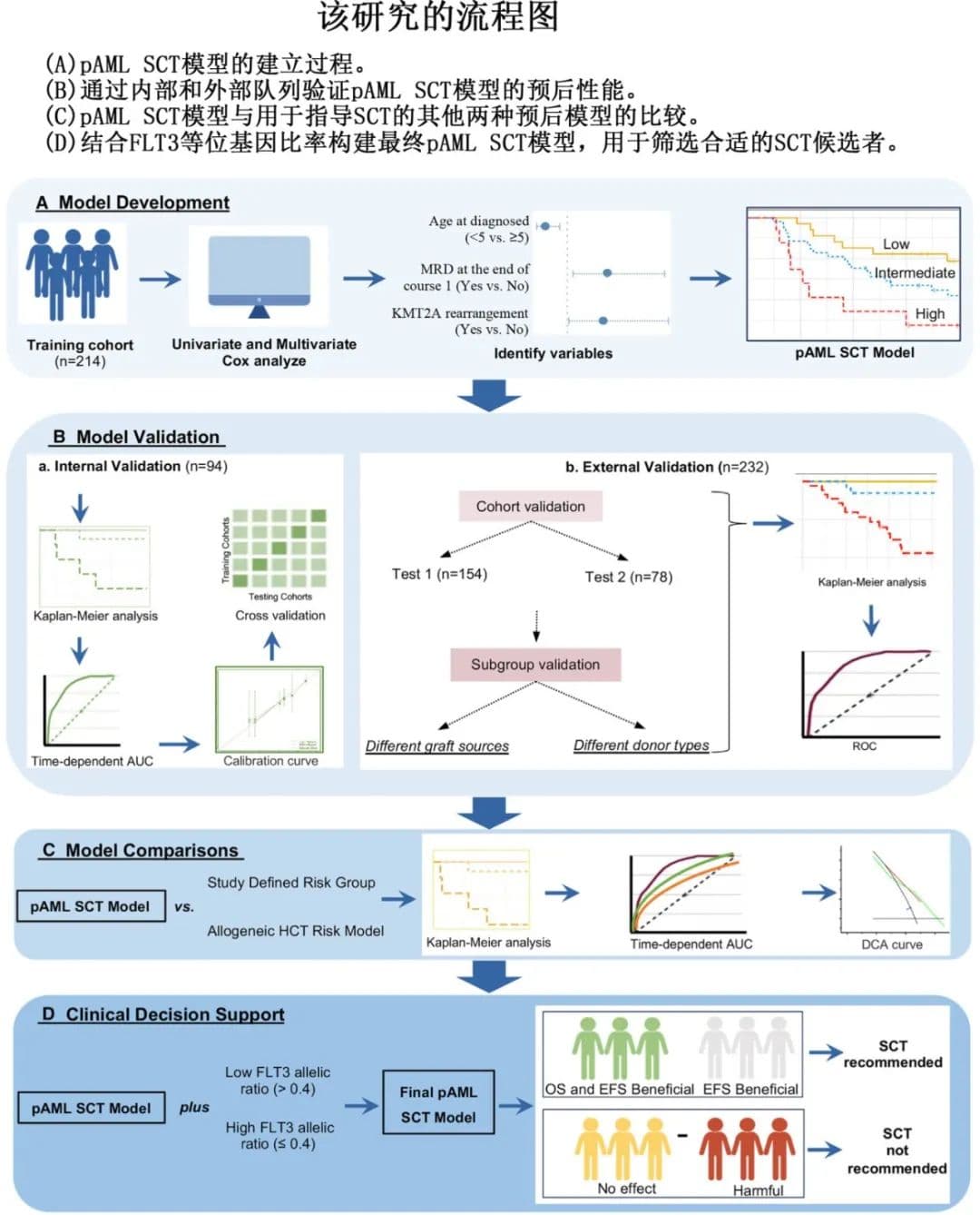 中国学者开发儿童AML移植预后模型，精准筛选移植对象