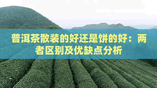 普洱茶散装的好还是饼的好：两者区别及优缺点分析