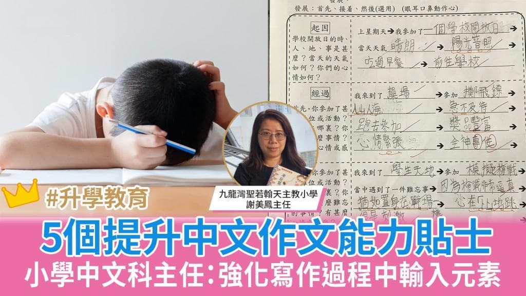 5个提升作文能力贴士：小学中文科主任谈写作过程中的输入元素