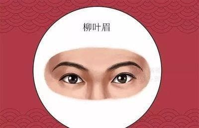 眉毛连在一起面相解读：性格特征与运势分析