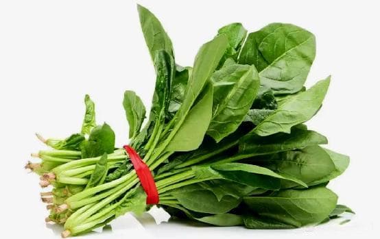 十大护眼食物全解析：从菠菜到三文鱼的营养密码