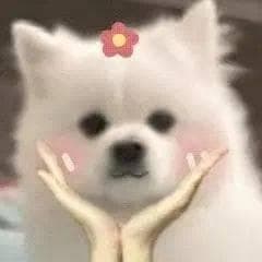 “青 出于蓝而胜于蓝”非物质文化遗产——蓝染