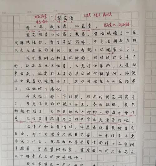作文中如何巧妙运用花语表达情感？