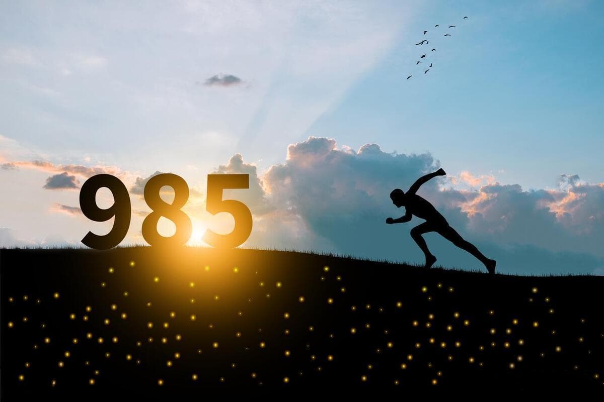 “985”“211”“双一流” 有何不同？哪个更牛？2024 深度分析