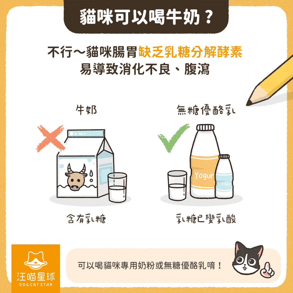 猫咪饮食禁忌全解析：5大类食物需谨慎！
