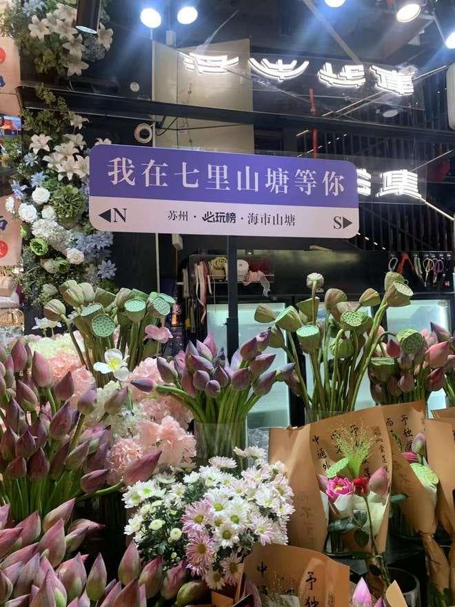 华东五市旅游攻略：春华秋实，最佳季节的完美之旅