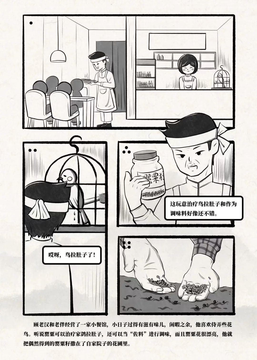 普法强基 | 罂粟不是普通花，种下一棵也犯法