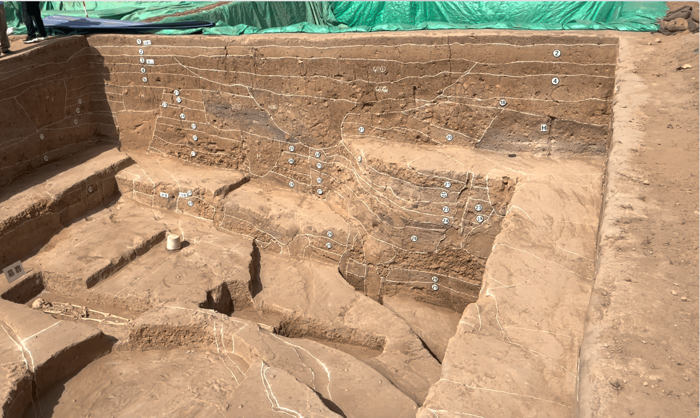 见证中华文明起源，大河村遗址考古揭示6000年文化脉络