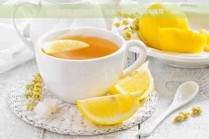 福鼎白茶怎么泡才正确：方法、功效、作用与推荐