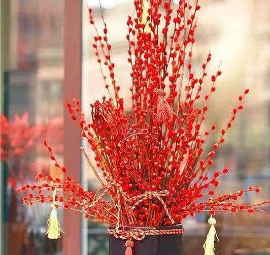 “年味十足”的花，客厅至少摆一盆，喜庆大气，寓意吉祥倍有面