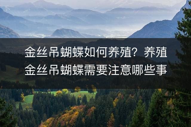 金丝吊蝴蝶如何养殖？养殖金丝吊蝴蝶需要注意哪些事项？