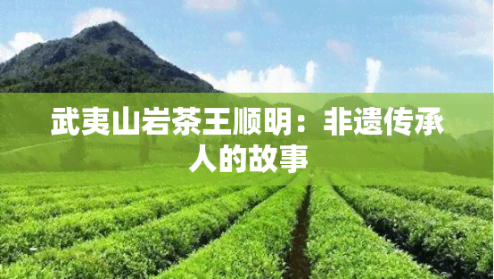 武夷山茶叶大师王顺明：茶界泰斗的匠心传承