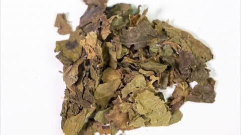 桑叶茶的最佳搭配有什么