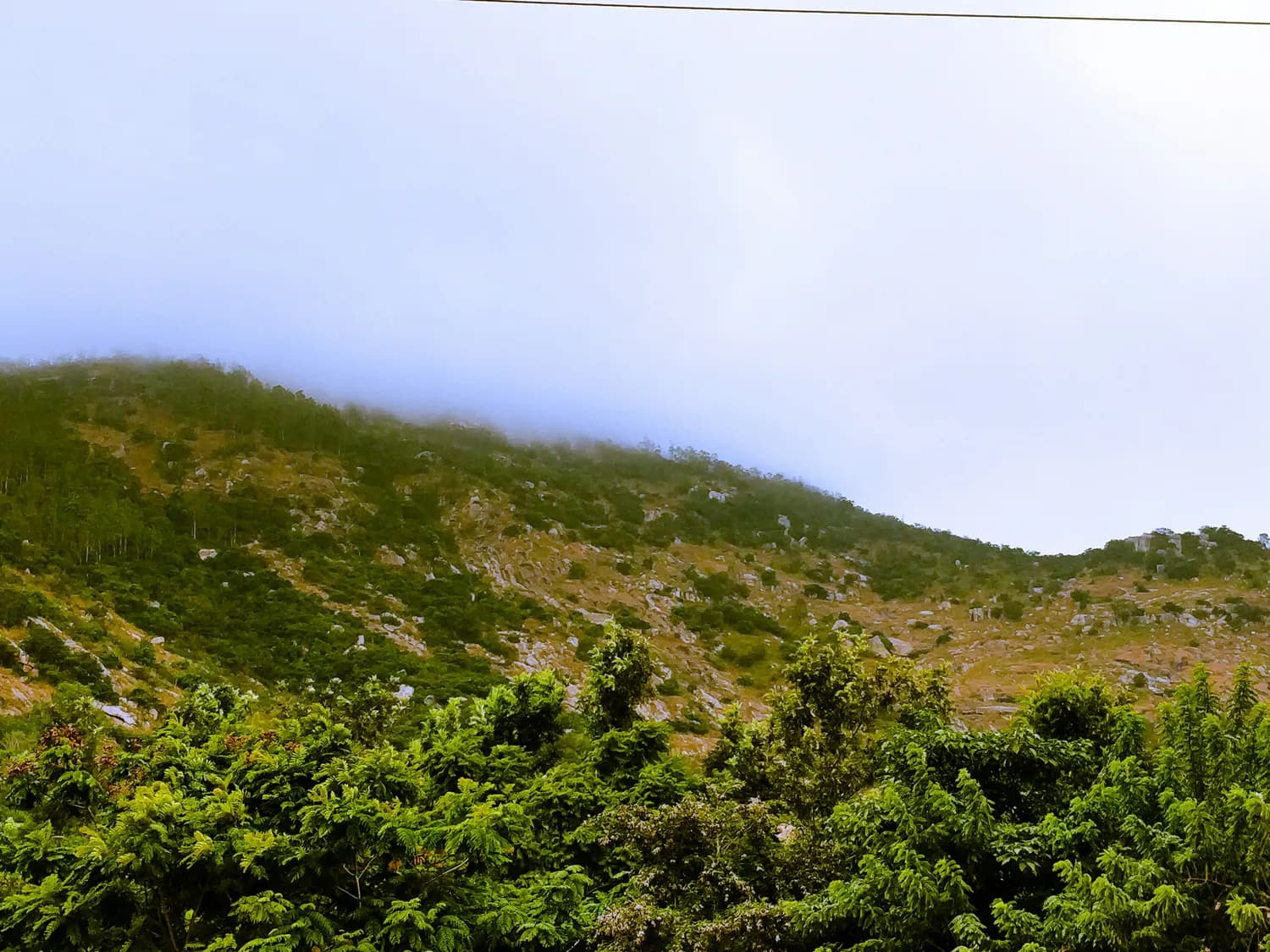 海南岛两大景点深度对比：天涯海角VS尖峰岭