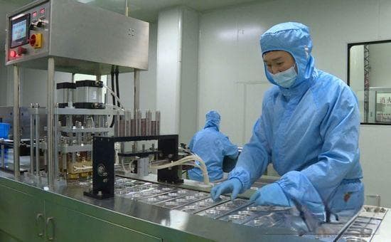 向“参”突破谋振兴 安图县全力推动人参产业高质量发展