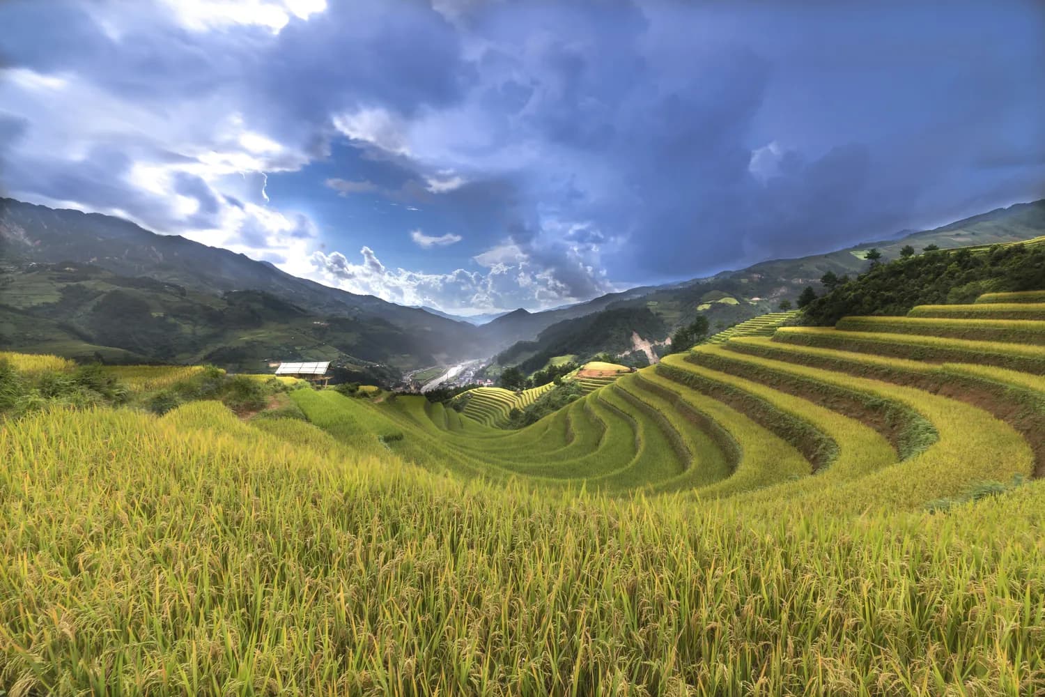 丽水自然景观打卡指南：云和梯田、仙都、古堰画乡