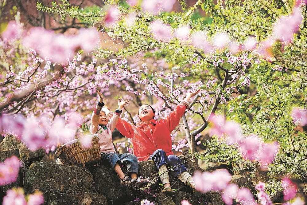 踏青季 赏花时 桃红又是一年春