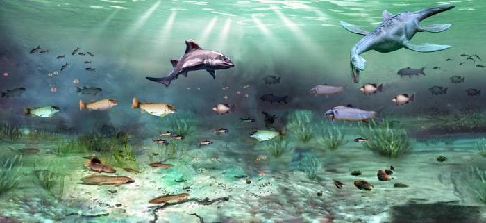 三叠纪大灭绝后陆地生态如何复苏？1.9亿年前“渝州生物群”揭秘