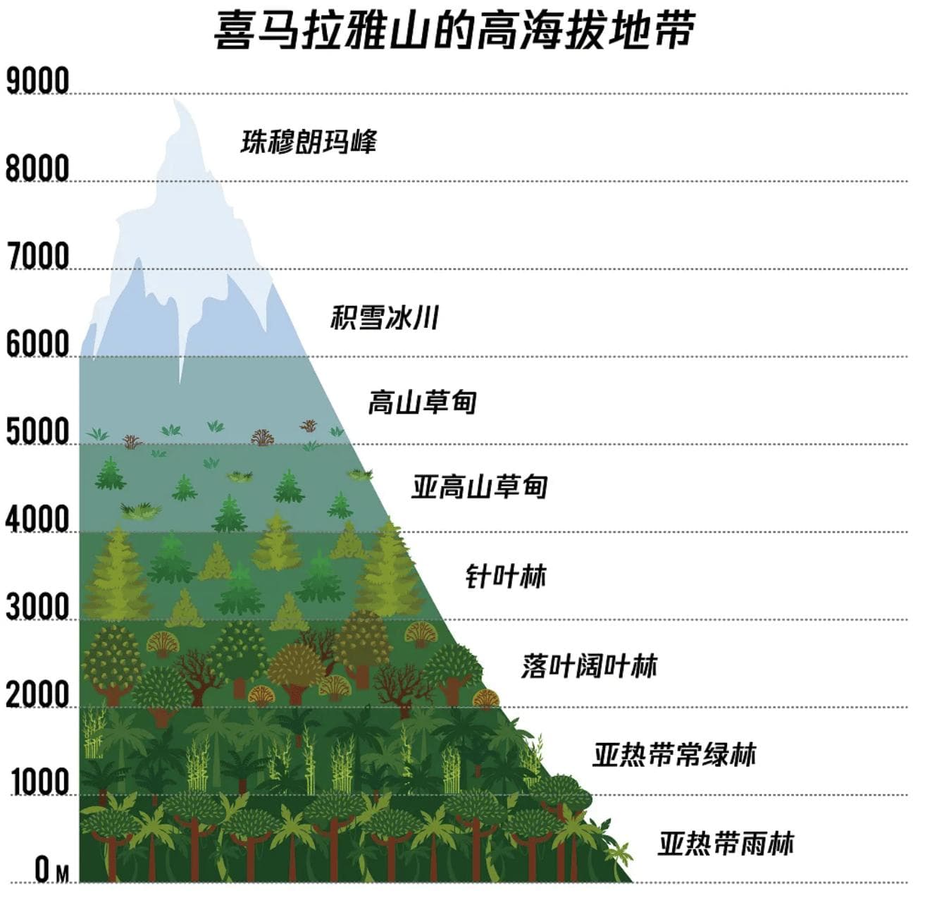 葡萄糖和红景天，防不住高原反应！真正有效的是这6种药