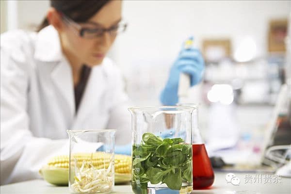 欧盟茶叶农残检测标准又出新高