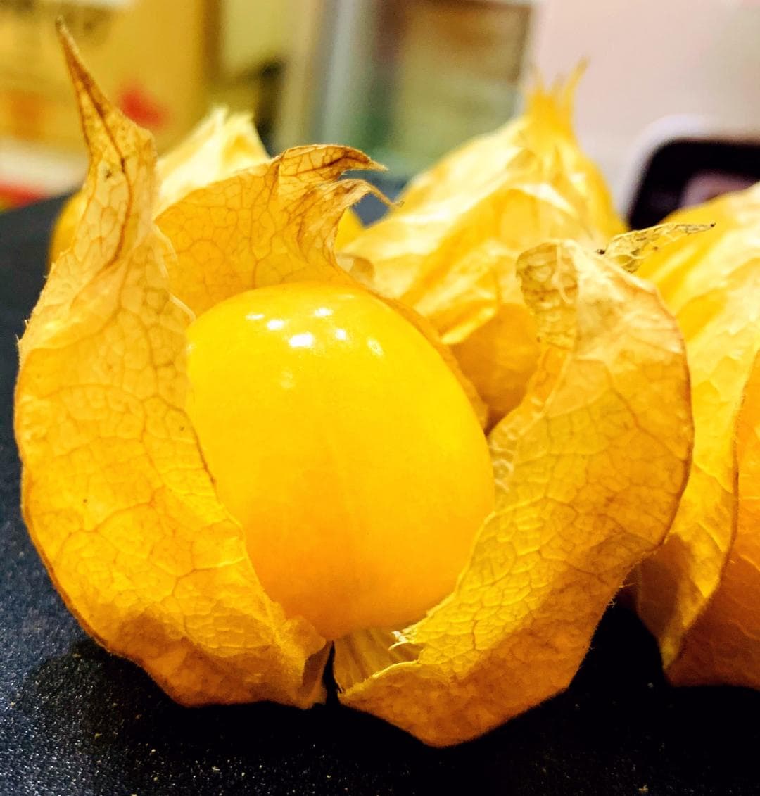 风味堪比奶油冰淇淋的水果，只有东北人才懂