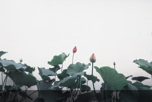 关于倒水的学问——职场励志