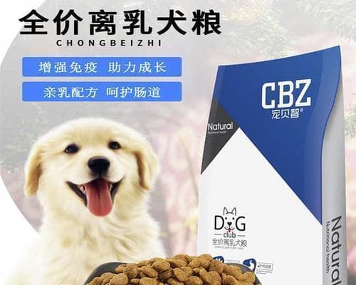 如何选择适合柯基幼犬的狗粮（了解幼犬的营养需求）