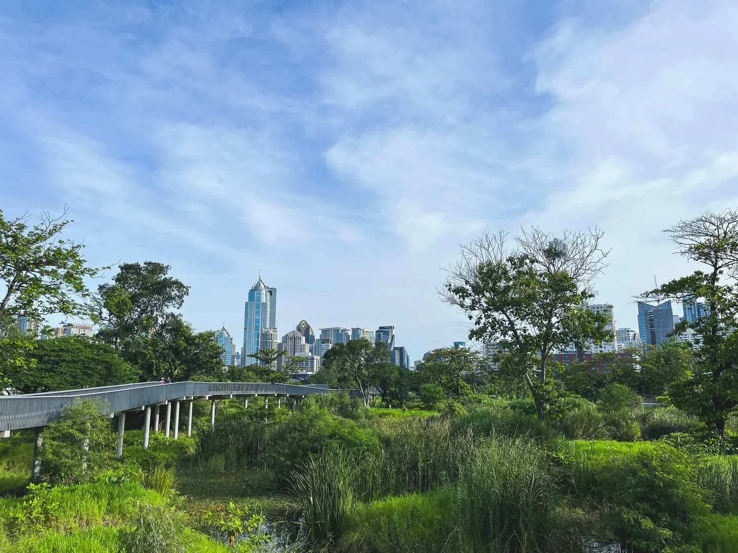 智慧蓉城：数据驱动的城市未来